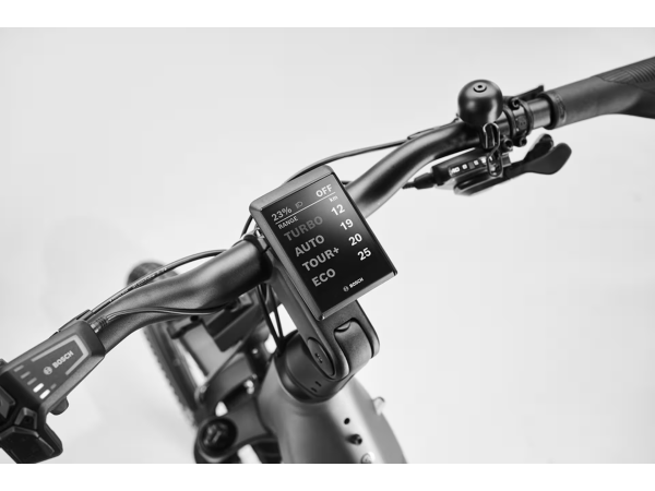 Rower Diamant Suvea Trip Pro (800 Wh) Heugru L-XL