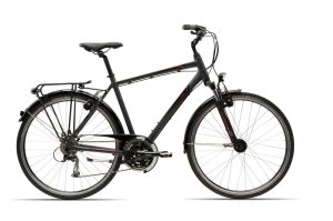 Rower GIANT Argento 1 M
