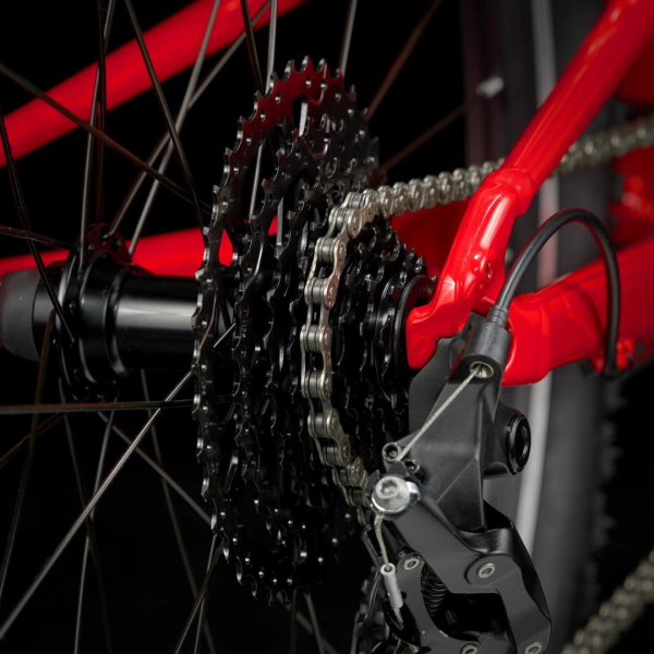Rower TREK Wahoo 24 Path Viper Red